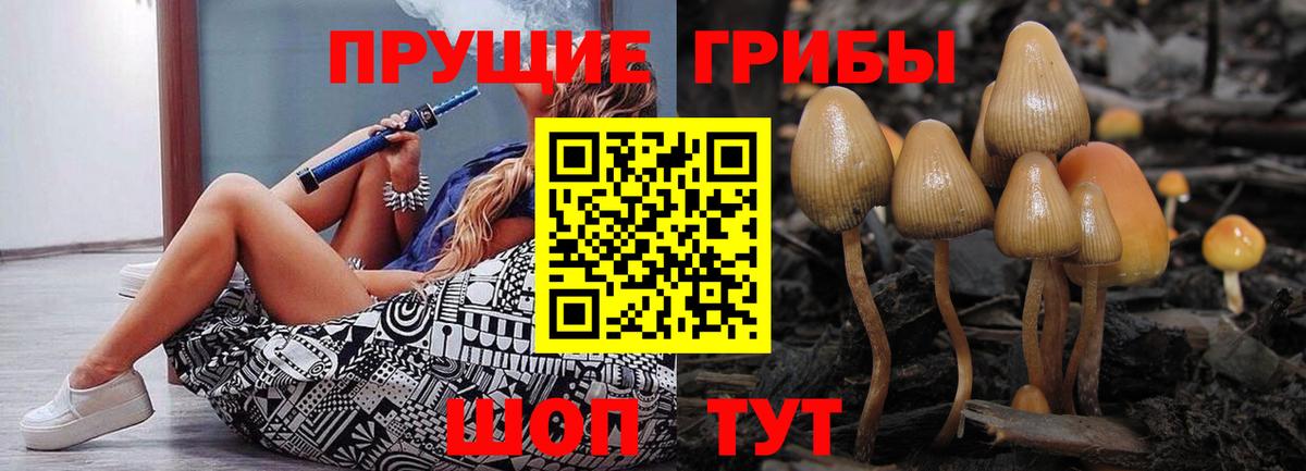 Псилоцибиновые грибы GOLDEN TEACHER Находка